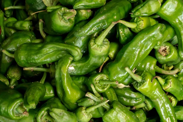 Čerstvé Zelené Chilli Papričky Trhu Prodej — Stock fotografie