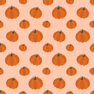 Sonbahar balkabaklarının kusursuz deseni