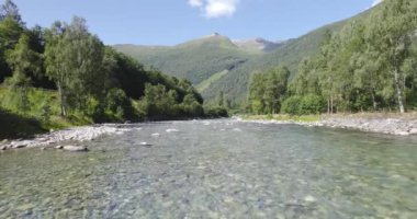 Güneşli bir günde kristal beyaz suyla kayalık sığ nehirde hızla uçuyor. Arka planda dağlar. Nehir yeşil ağaçlarla çevrili..