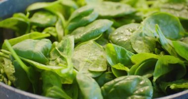 Kızartma tavasında ıspanak pişiriyorum. Lezzetli, tencerede taze bir yemek. Vejetaryen ve organik sağlıklı gıda konsepti.. 