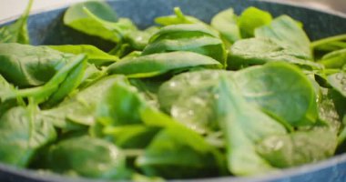 Kızartma tavasında ıspanak pişiriyorum. Lezzetli, tencerede taze bir yemek. Vejetaryen ve organik sağlıklı gıda konsepti.. 