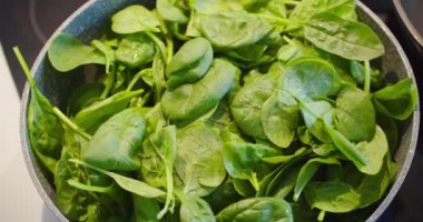 Kızartma tavasında ıspanak pişiriyorum. Lezzetli, tencerede taze bir yemek. Vejetaryen ve organik sağlıklı gıda konsepti.. 