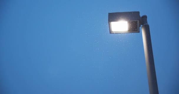 Een Led Straatlamp Bij Donkerblauwe Schemering Dawn Time Automatische Elektriciteit — Stockvideo