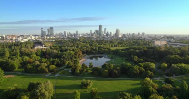 Park Miejski Centrum Miasta Tle Widok Lotu Ptaka Biur Wieżowcach — Wideo stockowe