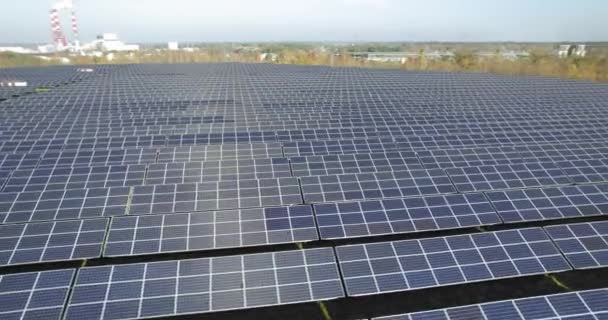 Los Paneles Solares Colocan Fila Los Campos Verdes Cerca Zona — Vídeos de Stock
