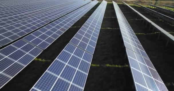 Paneles Solares Pie Una Fila Los Campos Verdes Fuente Energía — Vídeos de Stock