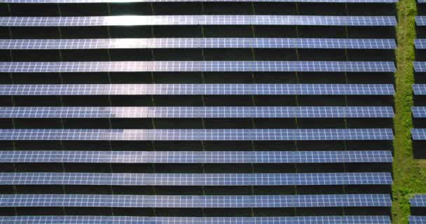 Paneles Solares Pie Una Fila Los Campos Verdes Fuente Energía — Vídeos de Stock