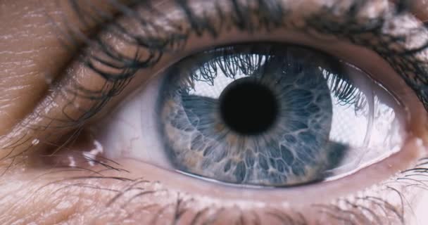 Blue Eye Girl Kijkt Naar Camera Close Macro Shot Vooraanzicht — Stockvideo