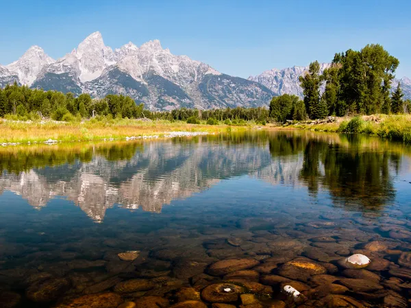 Snake river reflektion — Stockfoto