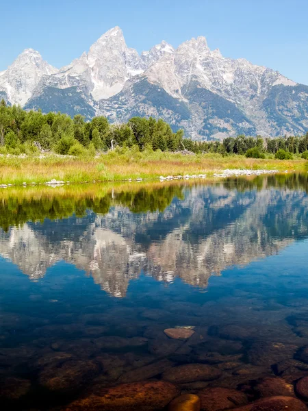 Majestic Reflection — Stock Photo, Image