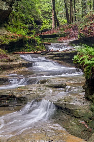 Forest Cascade — Stock Photo, Image