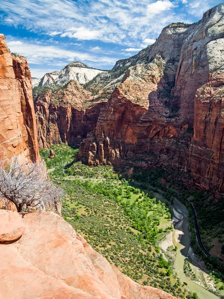 Zion Canyon from Angels Landing — Stock Photo, Image