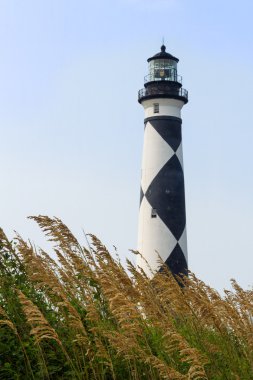 Cape uyanık deniz feneri ve deniz yulaf