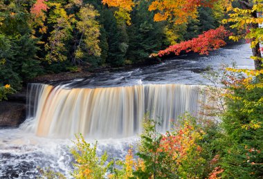 Michigan's Tahquamenon Falls in Autumn clipart
