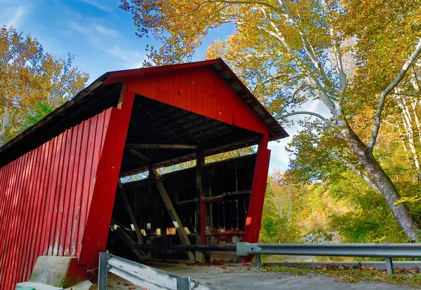 Überdachte Brücke und Platane — Stockfoto