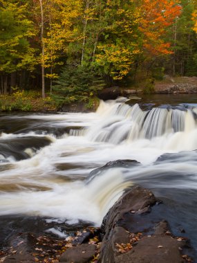 sonbahar düşen Bond
