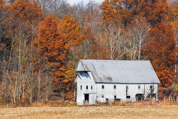 絵柄の納屋と秋の葉 — ストック写真