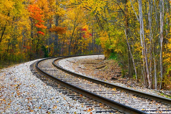 Chemin de fer automne — Photo