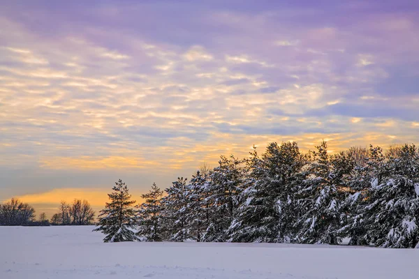 Pôr-do-sol inverno — Fotografia de Stock