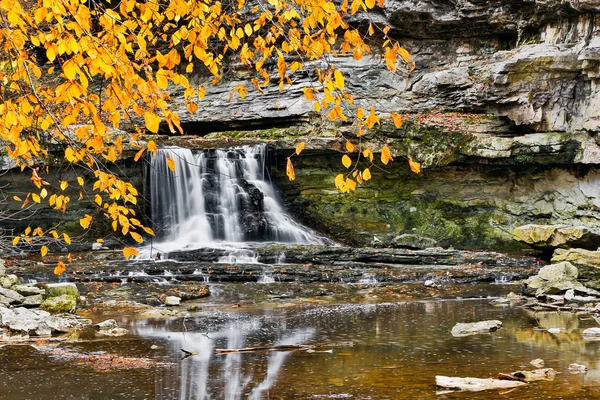 Waterfall and Golden Leaves — Stock Photo, Image