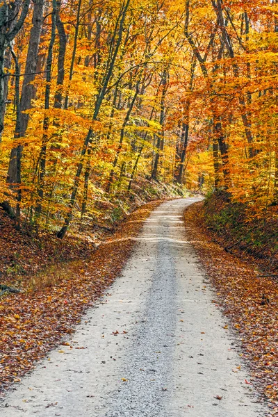 Land weg en herfst kleuren — Stockfoto