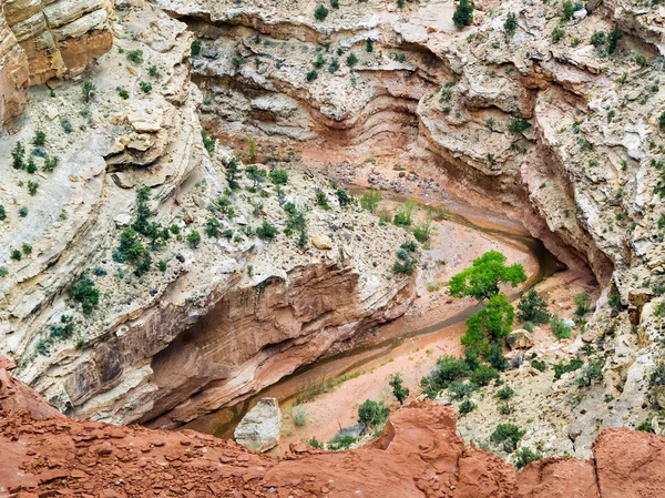 Sulphur Creek — Stock Photo, Image