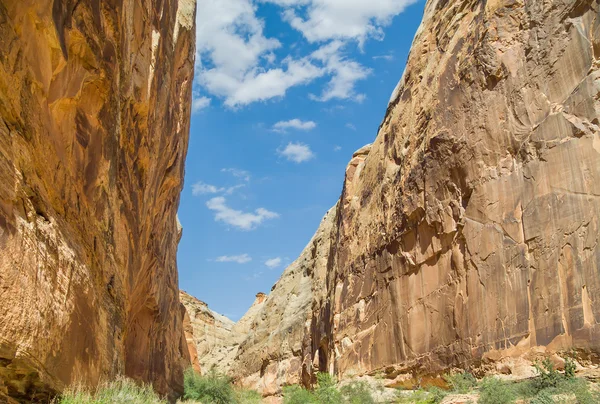 Capitol Gorge Canyon — Stock Photo, Image