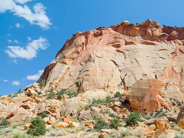 Golden Sandstone Cliff — Stock Photo, Image