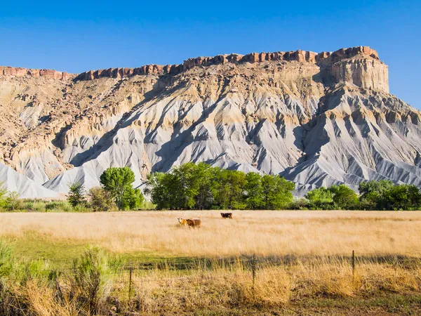 Colline di scisti — Foto Stock