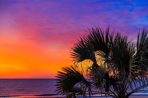 Tropischer Sonnenaufgang — Stockfoto