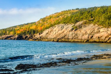Sonbahar yeşillik rengini gösteren ağaçlarla kaplı Rocky tepeleri, Acadia Ulusal Parkı 'ndaki Sand Beach' te denizden yükseliyor. Aşağı Doğu Maine kıyısındaki Çöl Adası.