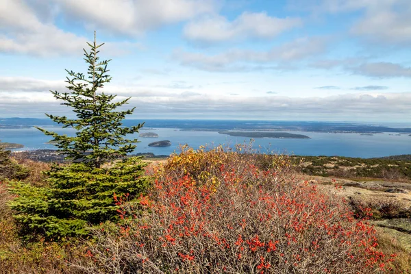 Islands Frenchman Bay Viewed Atop Cadillac Mountain Beautiful Autumn Day — Stock Photo, Image