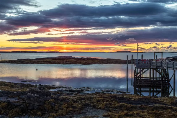 Dawn Raster Silhuett Vilande Landfåglar Vid Lågvatten När Solen Stiger — Stockfoto