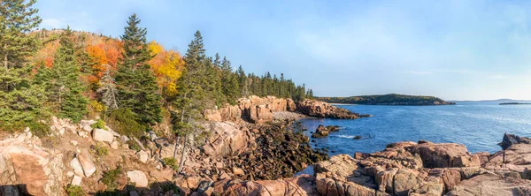 Bunte Herbstblätter Schmücken Die Felsige Atlantikküste Des Acadia Nationalparks Wüsteninsel — Stockfoto