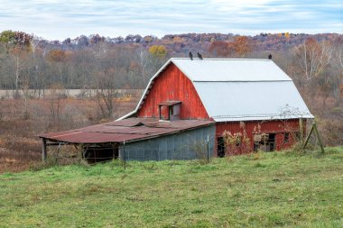 Buzzards perch on the roof of a rustic red barn at a farm in the autumn countryside of rural Indiana. clipart