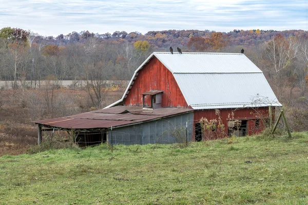 Buzzards Perch Roof Rustic Red Barn Farm Autumn Countryside Rural — Stock Photo, Image