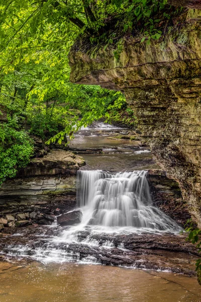 Small Beautiful Waterfall Splashes Cliff Rocky Forest Canyon Mccormick Creek — Zdjęcie stockowe