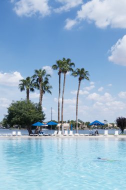 Scottsdale, az güzel Yüzme Havuzu