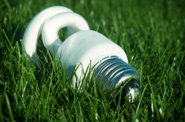 Energy saving light bulb on green grass — Stock Photo, Image