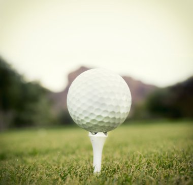 Golf Topu Tee 'de