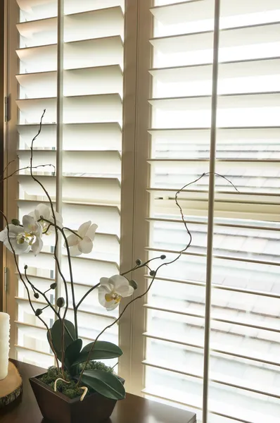 Weiße Plantage Stil Holz Fensterläden — Stockfoto