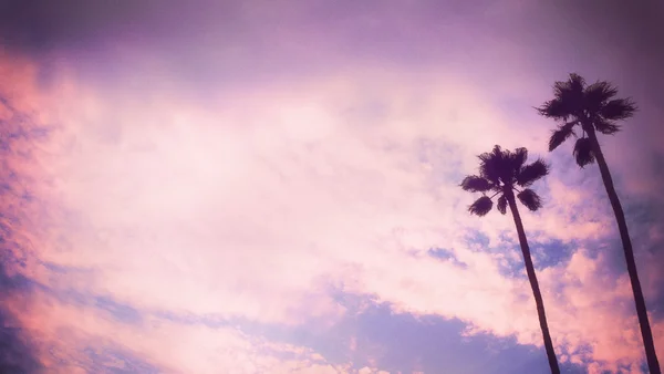 Coucher de soleil romantique de palmier de style rétro avec palmier — Photo