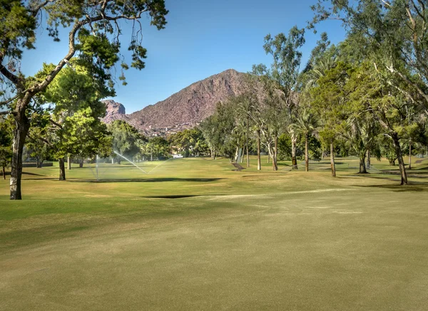 Campo de golfe Arizona, EUA — Fotografia de Stock