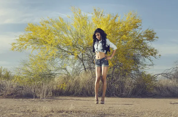 Mulher no deserto — Fotografia de Stock