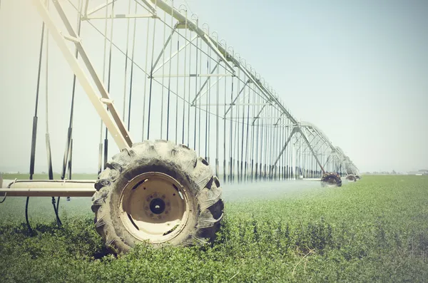 Cultivo da fazenda sendo regado por sistema de irrigação por aspersão — Fotografia de Stock