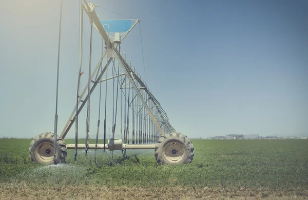 Cultivo da fazenda sendo regado por sistema de irrigação por aspersão — Fotografia de Stock