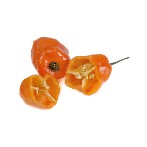 Habanero peppers — Stock Photo, Image