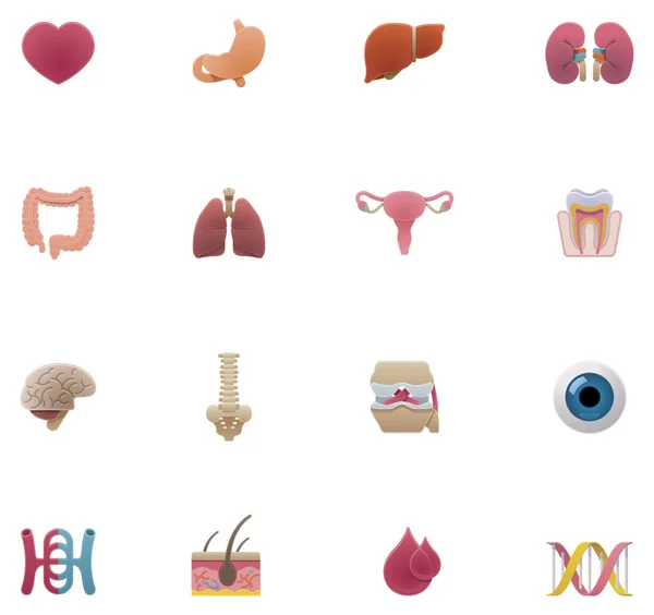 Conjunto de iconos de anatomía vectorial — Vector de stock