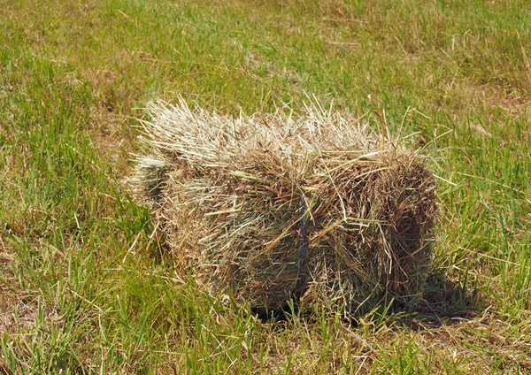 干し草の俵を長方形 — ストック写真