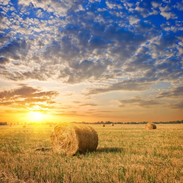 Heuhaufen auf einem herbstlichen Feld — Stockfoto